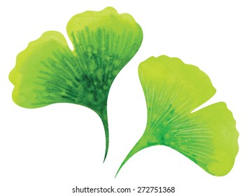 Ginkgo-Blätter. Vektorgrafik von Aquarellfarben