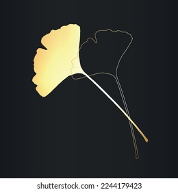Ginkgo leaves.Line drawing of ginkgo.Botanical.Organic .Botanical vector Illustration.Ginkgo biloba leaves.
