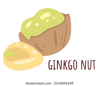 Ginkgo nut simple line style isolated concept