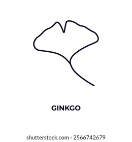 ginkgo outline icon. Linear vector from nature concept. Thin line ginkgo icon isolated on white background