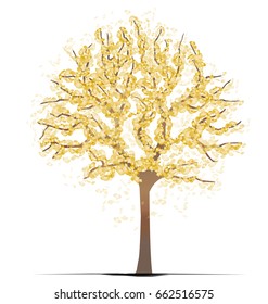 Ginkgo tree