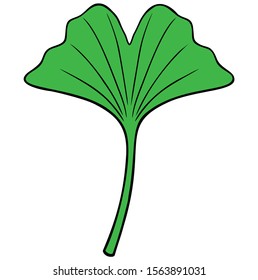 Ginkgo Tree Leaf - A cartoon illustration of a Ginkgo Tree Leaf.