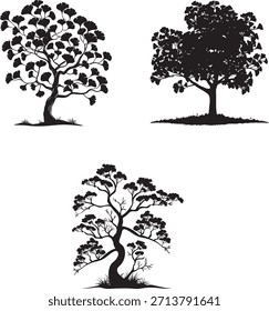 Clipart de Ilustración vectorial de silueta de árbol de Ginkgo