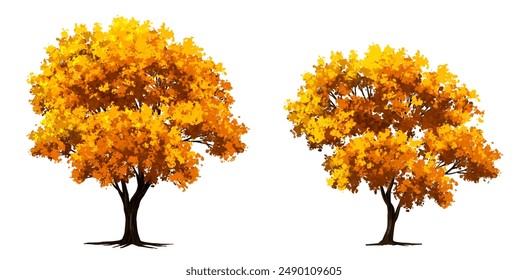 Vector de ginkgo para el dibujo de la arquitectura, el medio ambiente y el jardín, Elementos botánicos, árbol floreciente en otoño 