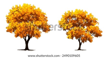 Ginkgo vector for architecture drawing, environment and garden,botanical elements ,blooming tree in autumn 