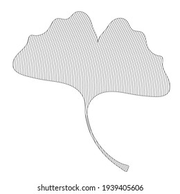 Ginko or Ginkgo Biloba leaf icon. Nature botanical VECTOR line art illustration isolated on white background. Herbal medicine graphic plant symbol. Tree Japanese walnut symbol. Brain health flora.