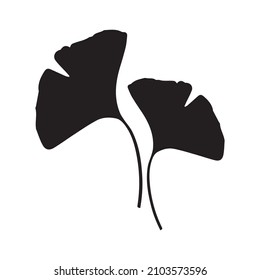 Ginko icon. Black silhouette of two leaves. The sacred tree of China. Ginko is a genus of deciduous gymnosperm relict plants of the Ginkgo class, a living fossil. Vector illustration isolated.