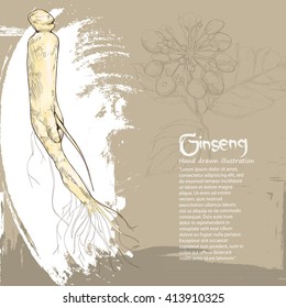 ginseng background design