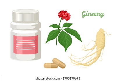 Ginseng capsules isolated on white background. Bottle of pills, medical plant and root. Vector illustration of dietary supplements in cartoon flat style. Superfood.