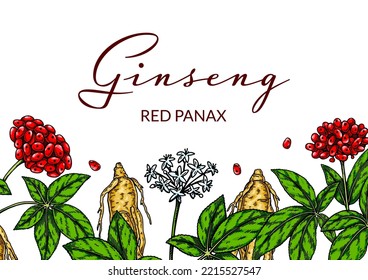 Ginseng colorful horizontal design. Hand drawn botanical vector illustration in sketch style. 

Can be used for packaging, label, badge. Herbal medicine background

