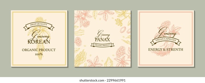 Ginseng design. Hand drawn botanical vector illustration in sketch style. Can be used for packaging, label, badge, logo. Herbal medicine background