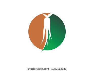 Ginseng design vector icon illustration template