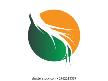 Ginseng design vector icon illustration template