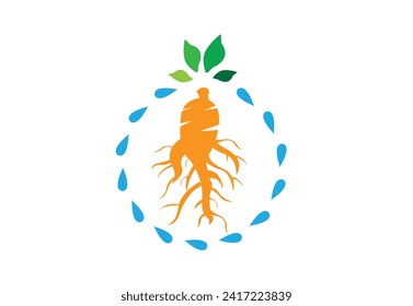 Ginseng Extract as ingredient for tea, soda, alcoholic or medicinal beverages. 