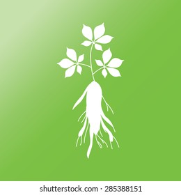 icono plano ginseng con sombra larga.