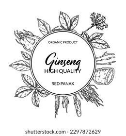 Ginseng frame. Hand drawn botanical vector illustration in sketch style. Can be used for packaging, label, badge, logo. Herbal medicine background