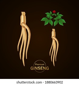 Ginseng for good health elegant vector illustration.