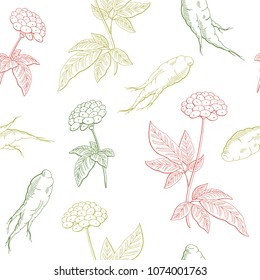 Ginseng graphic color seamless pattern background sketch illustration vector