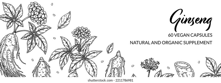 Ginseng horizontal design. Hand drawn botanical vector illustration in sketch style. Can be used for packaging, label, badge. Herbal medicine background