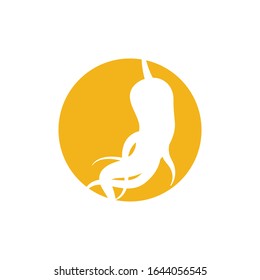 Ginseng icon design template vector isolated illustration