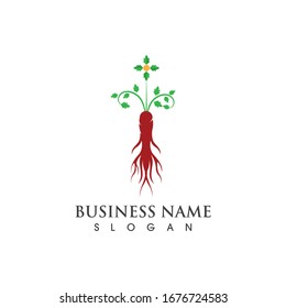 Ginseng icon illustration design vector 