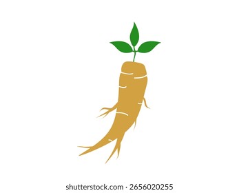 Ginseng icon isolated on white background.