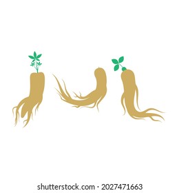 Ginseng icon set design template illustration
