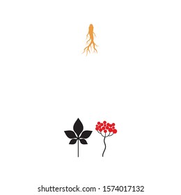 Ginseng icon Vector Illustration design Logo template