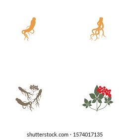 Ginseng icon Vector Illustration design Logo template