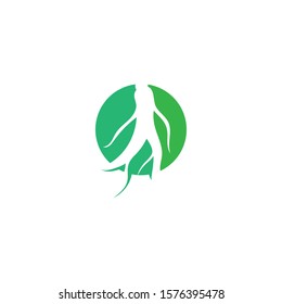 Ginseng icon Vector Illustration design Logo template