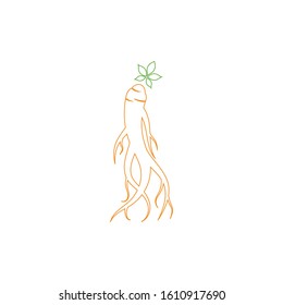 Ginseng icon Vector Illustration design Logo template