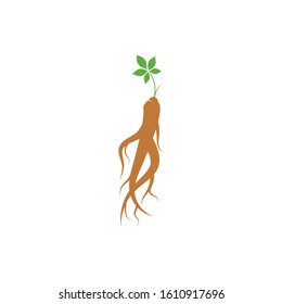 Ginseng icon Vector Illustration design Logo template