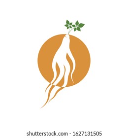 Ginseng icon Vector Illustration design Logo template