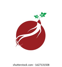 Ginseng icon Vector Illustration design Logo template