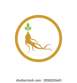 Ginseng icon Vector Illustration design Logo template