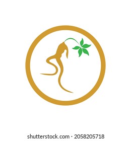 Icono de Ginseng Modelo de diseño de iluminación de vectores
