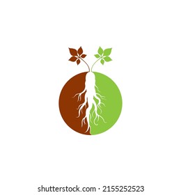 Ginseng icon Vector Illustration design Logo template