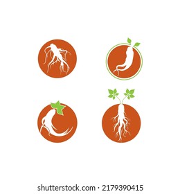 Ginseng icon vector illustration design template