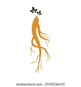 Ginseng icon Vector Illustration design Logo template