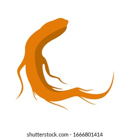 Ilustración vectorial de los iconos de Ginseng, herbal, floral