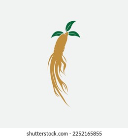 diseño de ilustraciones vectoriales de iconos de ginseng