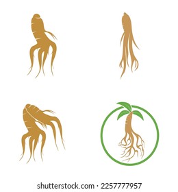 diseño de ilustraciones vectoriales de iconos de ginseng