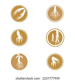 ginseng icon vector illustration template design