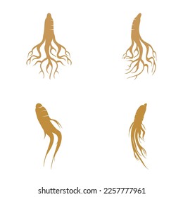 ginseng icon vector illustration template design