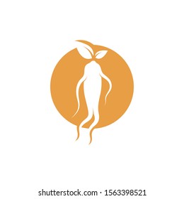 ginseng illustration icon vector design template
