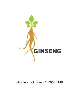 ginseng illustration icon vector design template