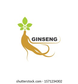 ginseng illustration icon vector design template