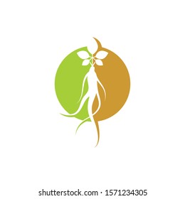Ginseng-Illustrationssymbol, Vektordesign-Vorlage