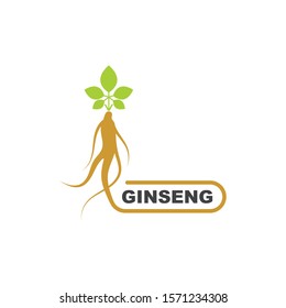 ginseng illustration icon vector design template