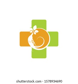 ginseng illustration icon vector design template